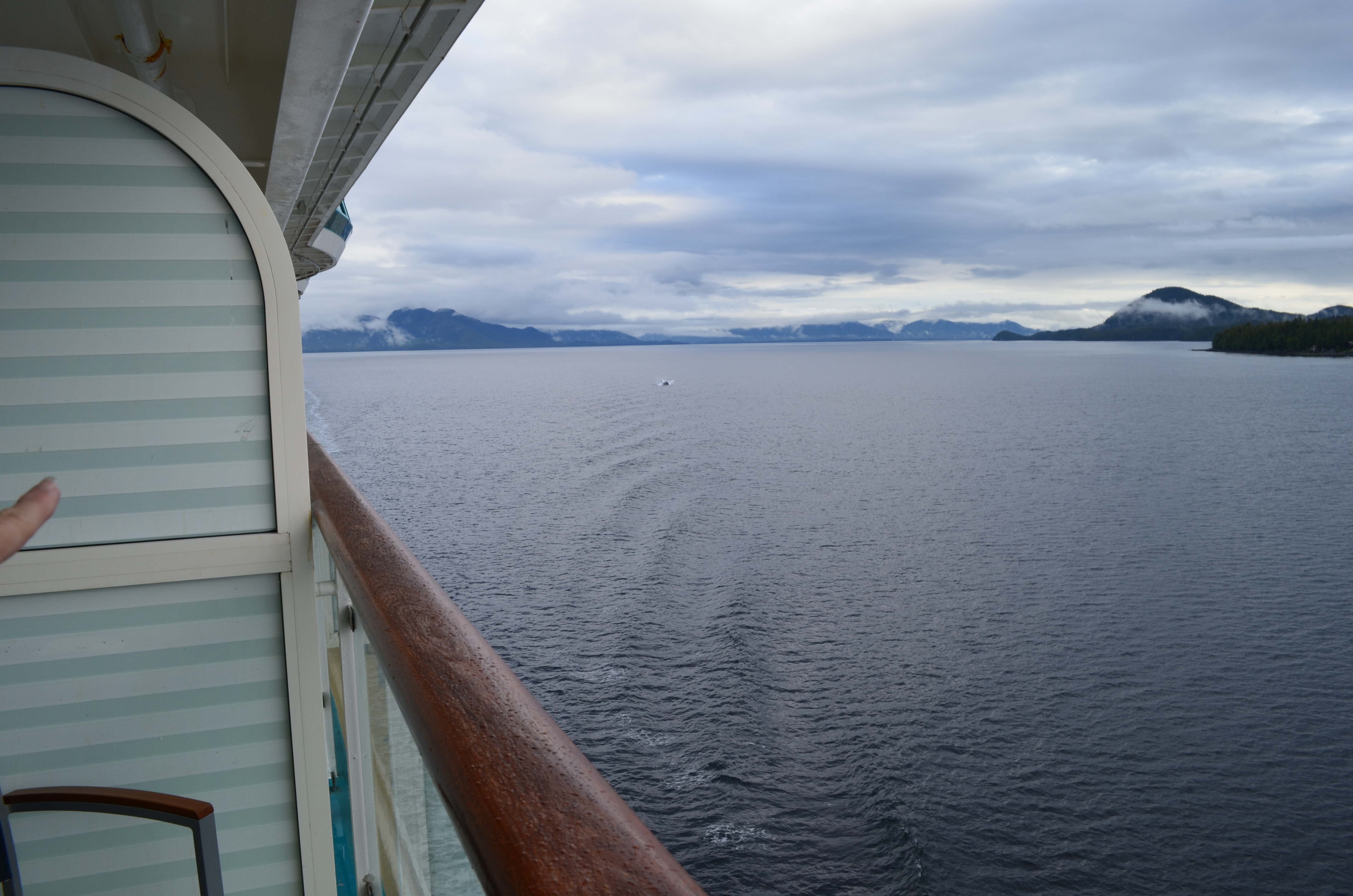 ./2017/08 - Alaska Cruise/11 - Ketchikan/DSC_0392.JPG